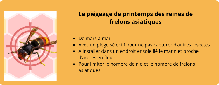 Encart site en image